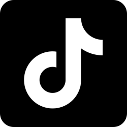 TikTok Trend Data Retriever API
